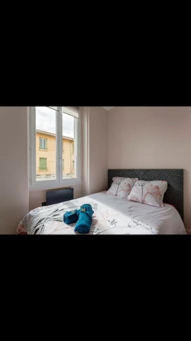Totalement Renove 4 Couchage Proche Lyon *
